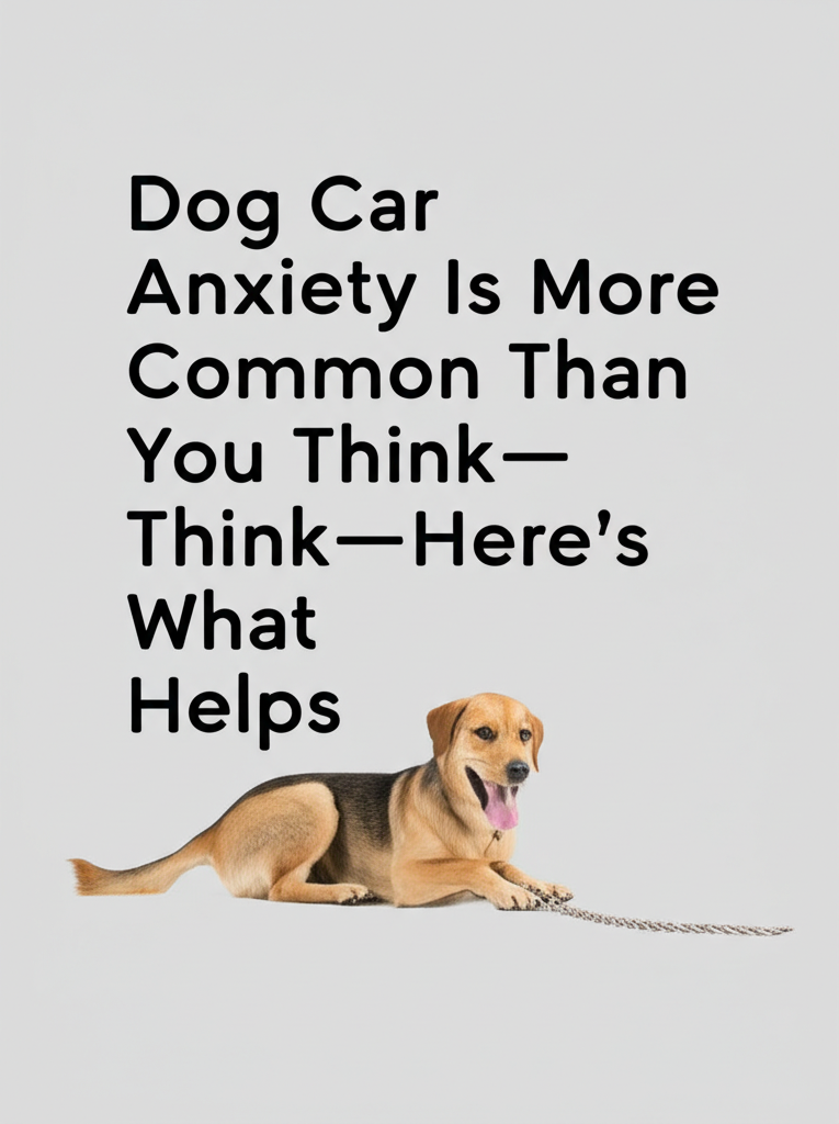 Alt text for the image