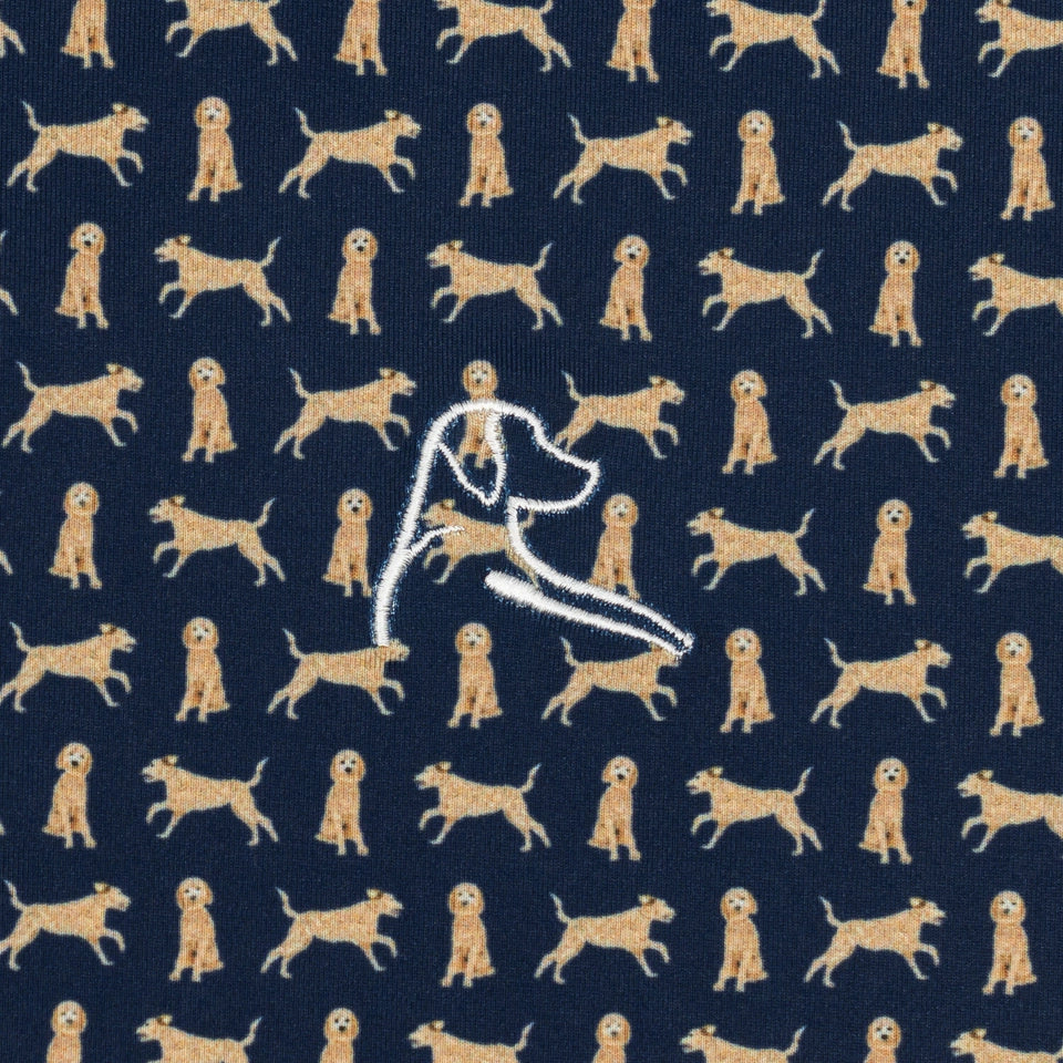 The Goldendoodle